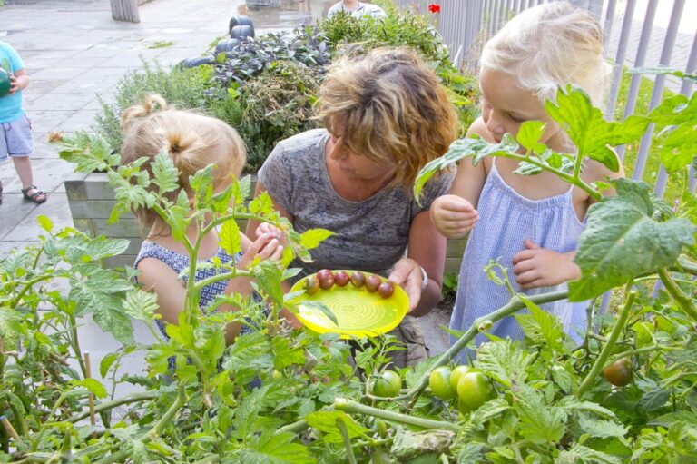 Wat Kost Kinderopvang Bij Samen