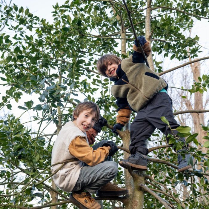 jongens klimmen in boom bij bso 2uilen in de vogelwijk den haag