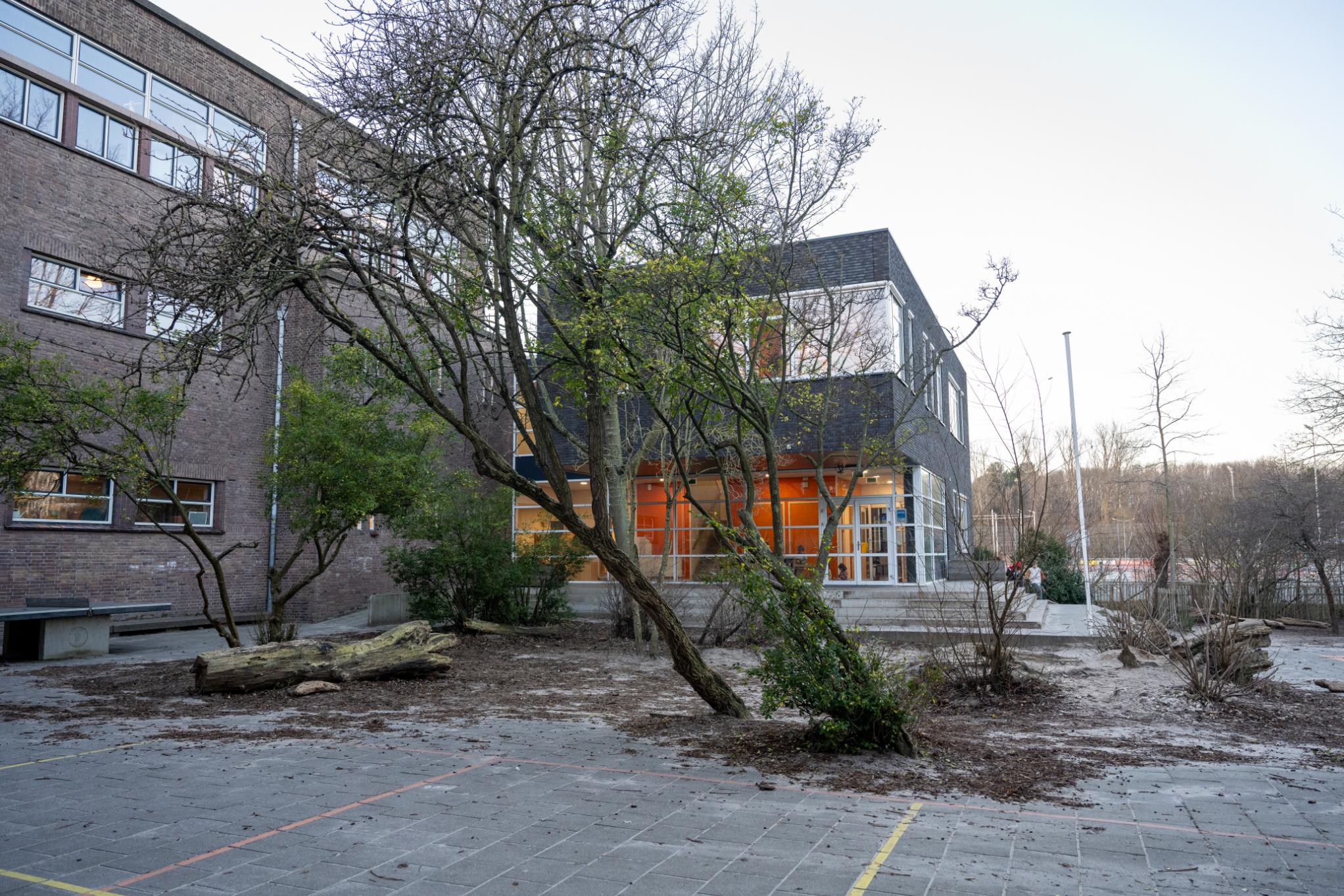 buitenruimte bij bso 2uilen in de vogelwijk den haag