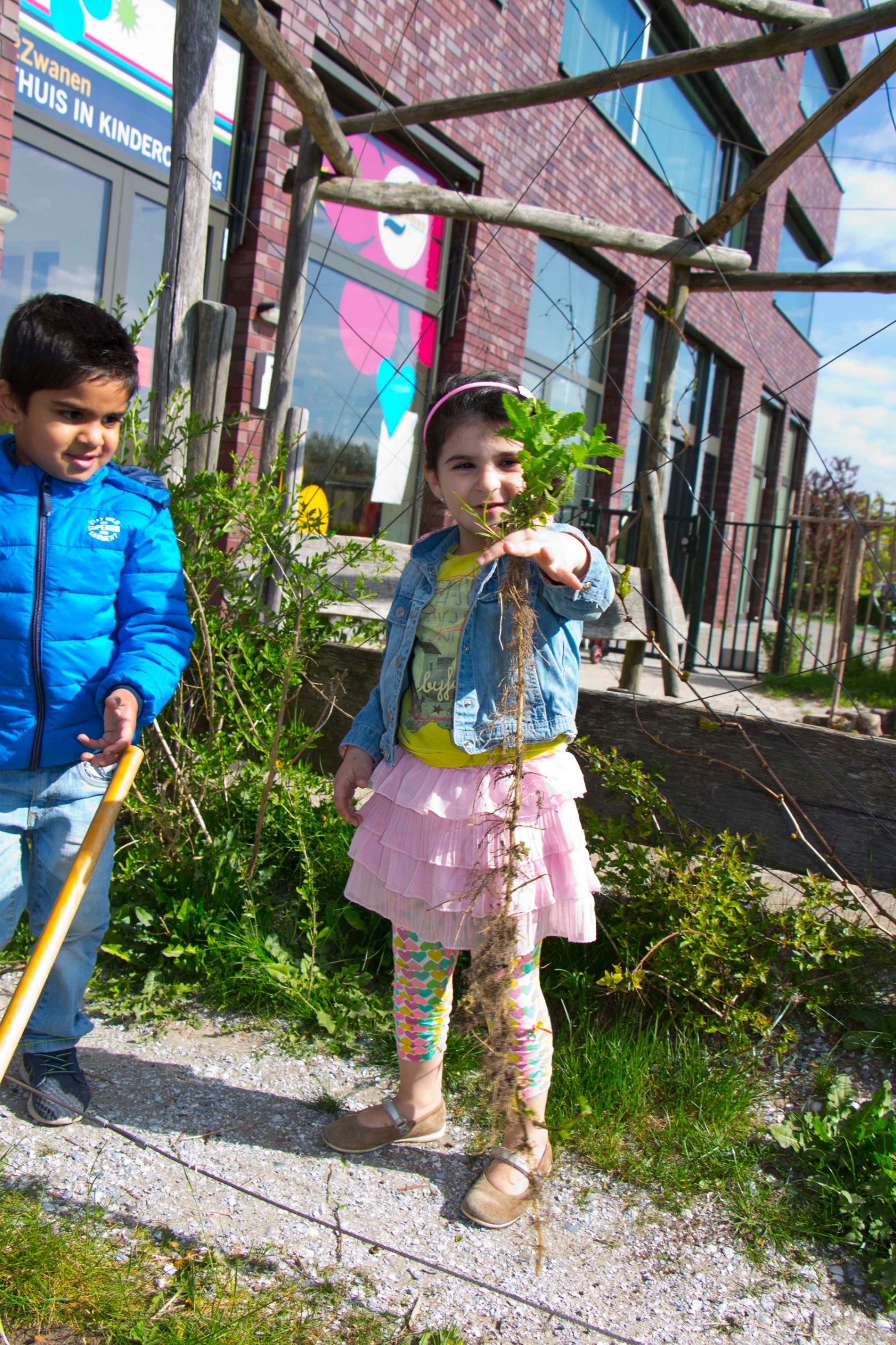 tuinieren Moestuin kinderdagverblijf 2Zwanen Ypenburg Den Haag Kinderopvang 2Samen