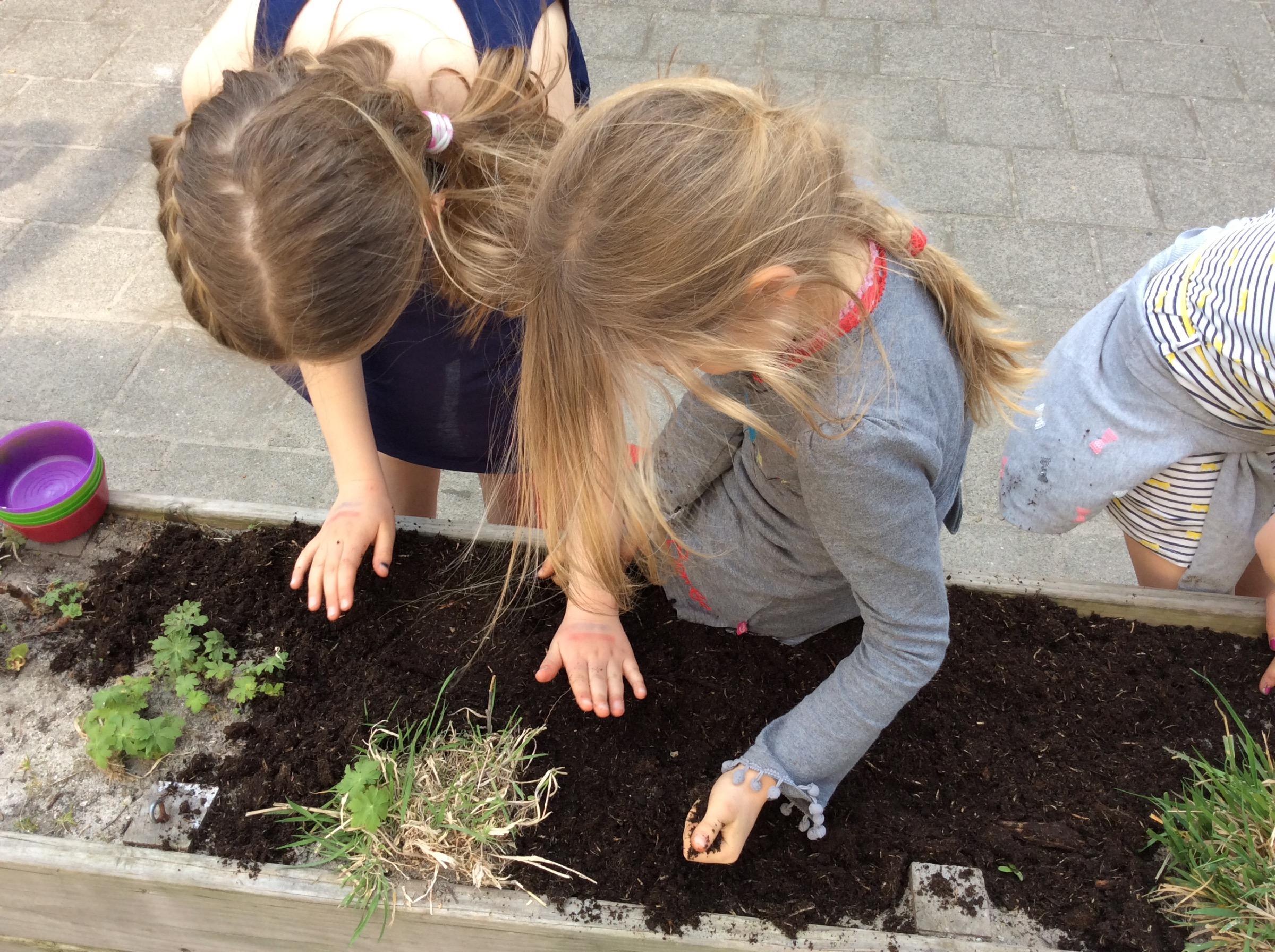 Moestuin buitenschoolse opvang 2Ruiters Willemspark Den Haag