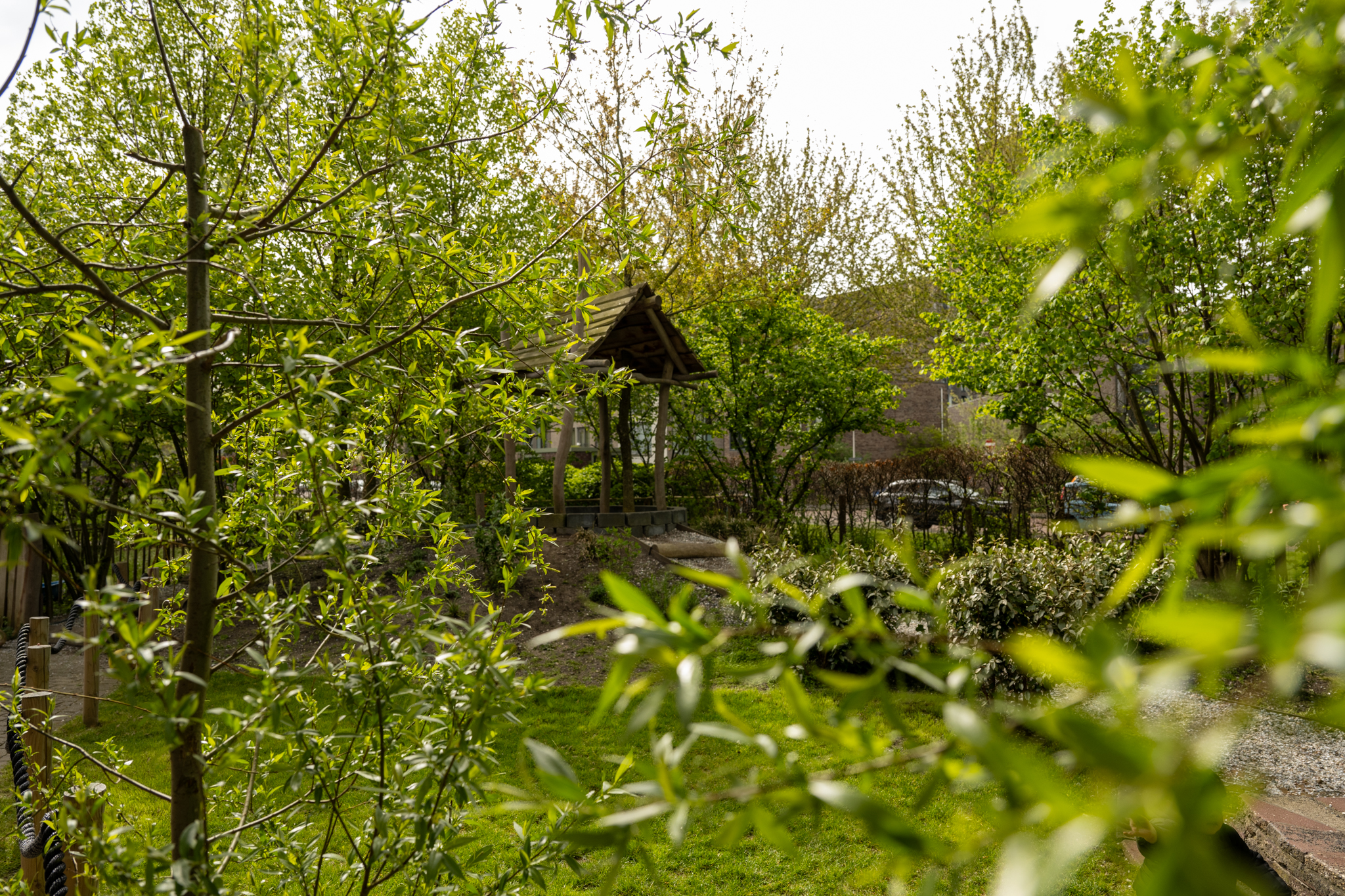 natuurtuin bij kinderdagverblijf 2zwanen in ypenburg